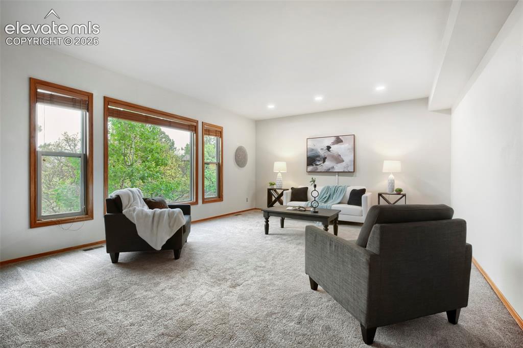 1310 Spinnaker Trail Monument CO 80132