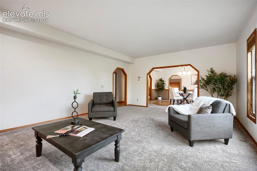 1310 Spinnaker Trail Monument CO 80132