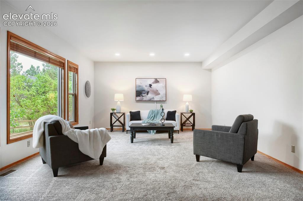 1310 Spinnaker Trail Monument CO 80132