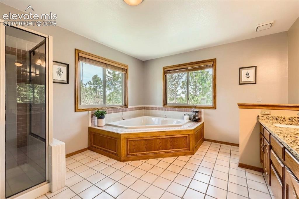 1310 Spinnaker Trail Monument CO 80132