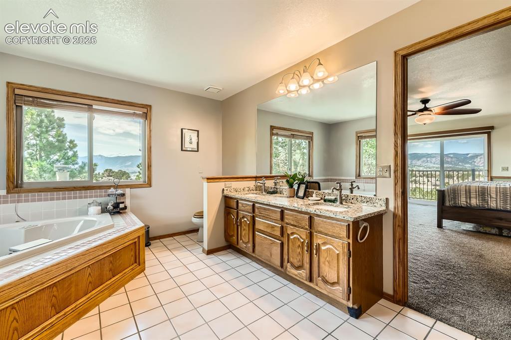 1310 Spinnaker Trail Monument CO 80132