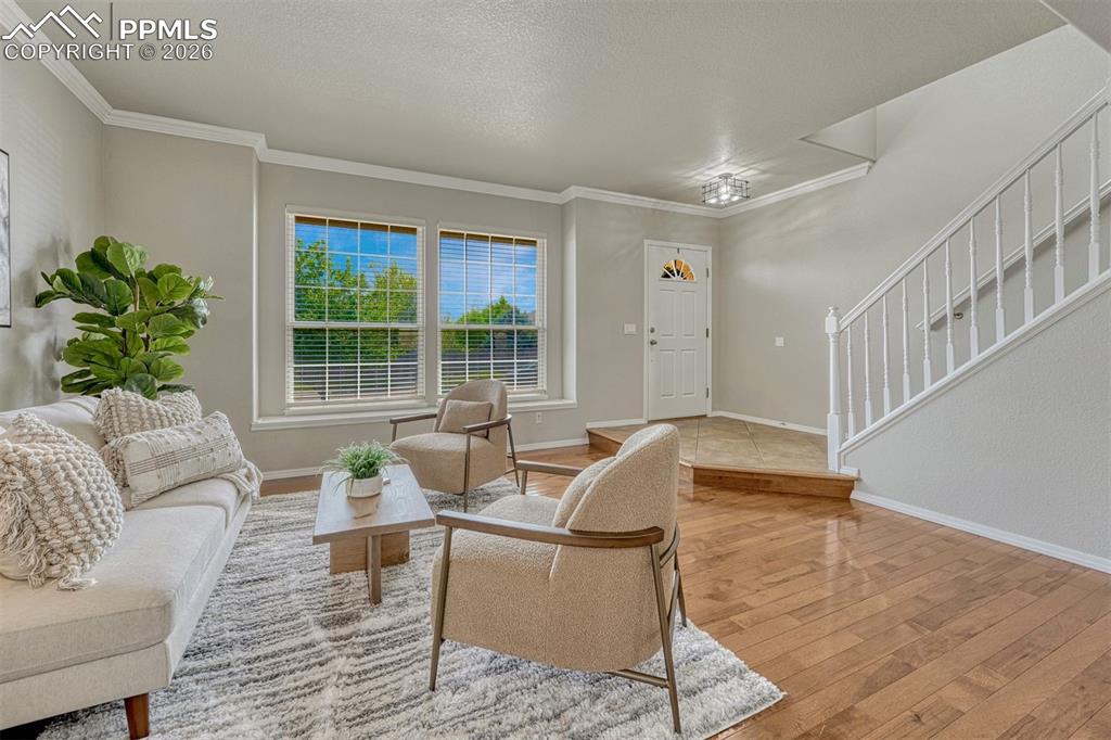 7340 Amberly Drive Colorado Springs CO 80923