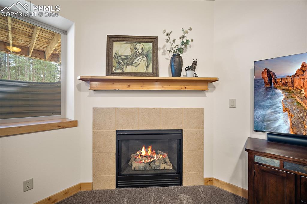 4235 Slash Pine Drive Colorado Springs CO 80908