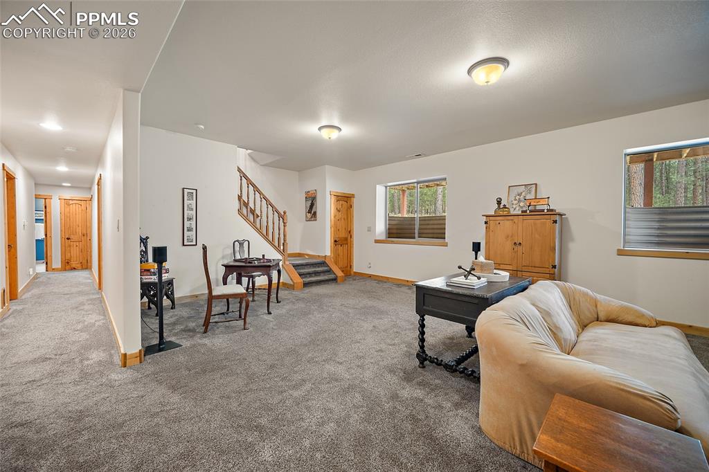 4235 Slash Pine Drive Colorado Springs CO 80908