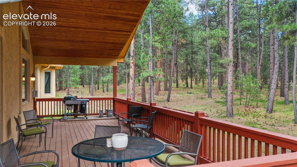 4235 Slash Pine Drive Colorado Springs CO 80908
