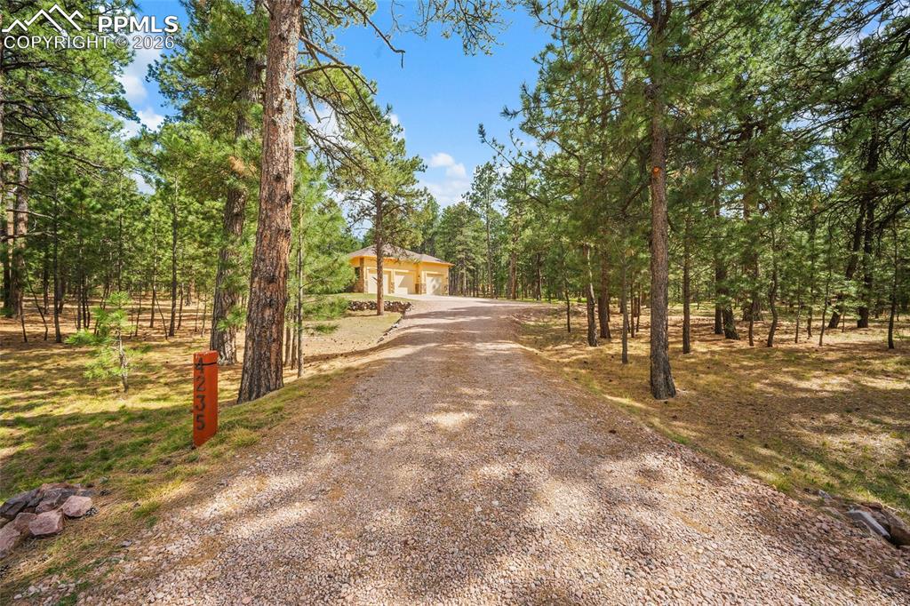 4235 Slash Pine Drive Colorado Springs CO 80908