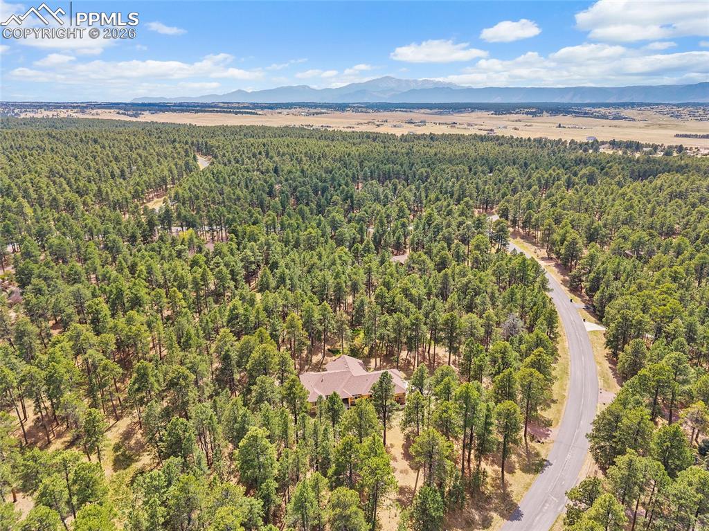 4235 Slash Pine Drive Colorado Springs CO 80908