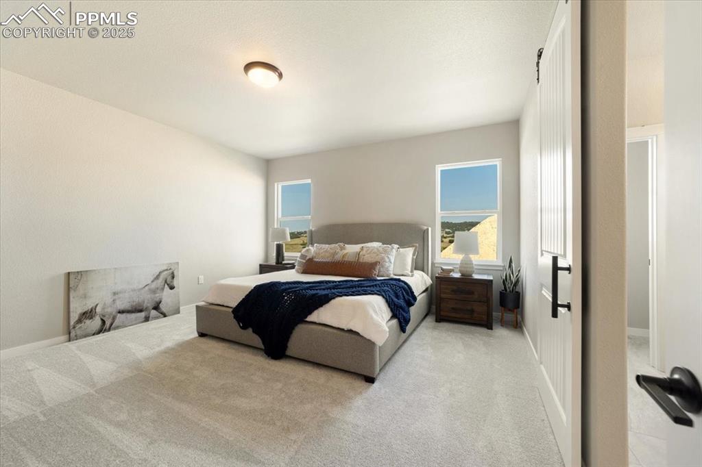 153 Limbach Court Colorado Springs CO 80132