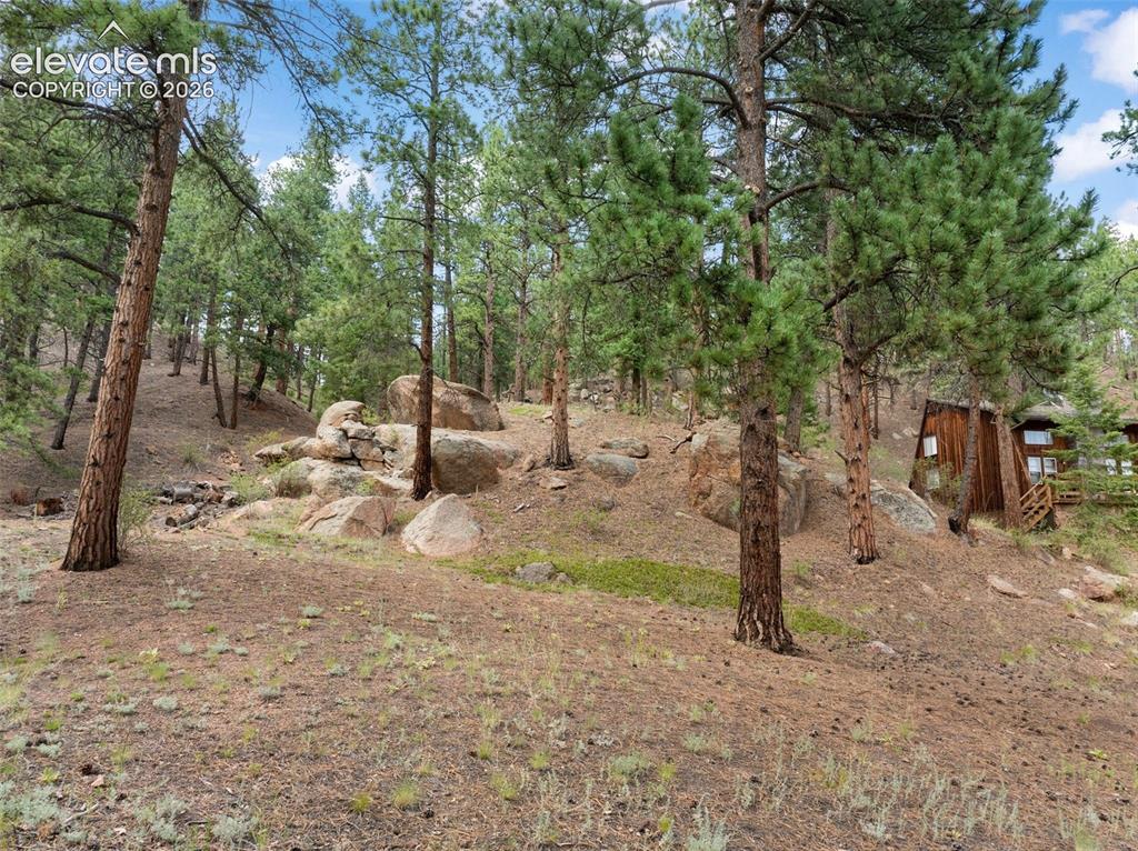 3843 County Road 33 Woodland Park CO 80863