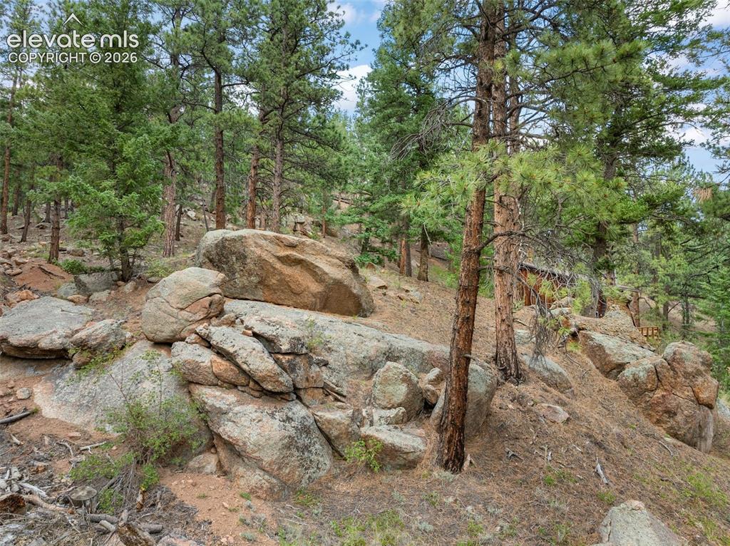 3843 County Road 33 Woodland Park CO 80863