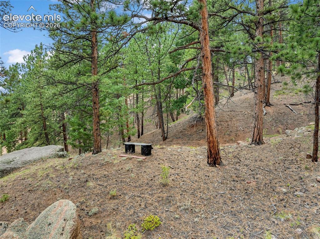 3843 County Road 33 Woodland Park CO 80863