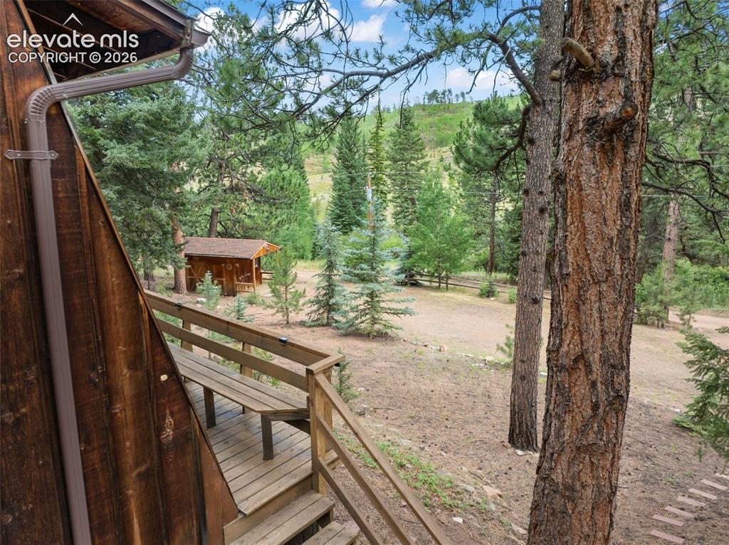3843 County Road 33 Woodland Park CO 80863