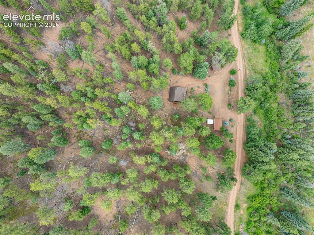 3843 County Road 33 Woodland Park CO 80863