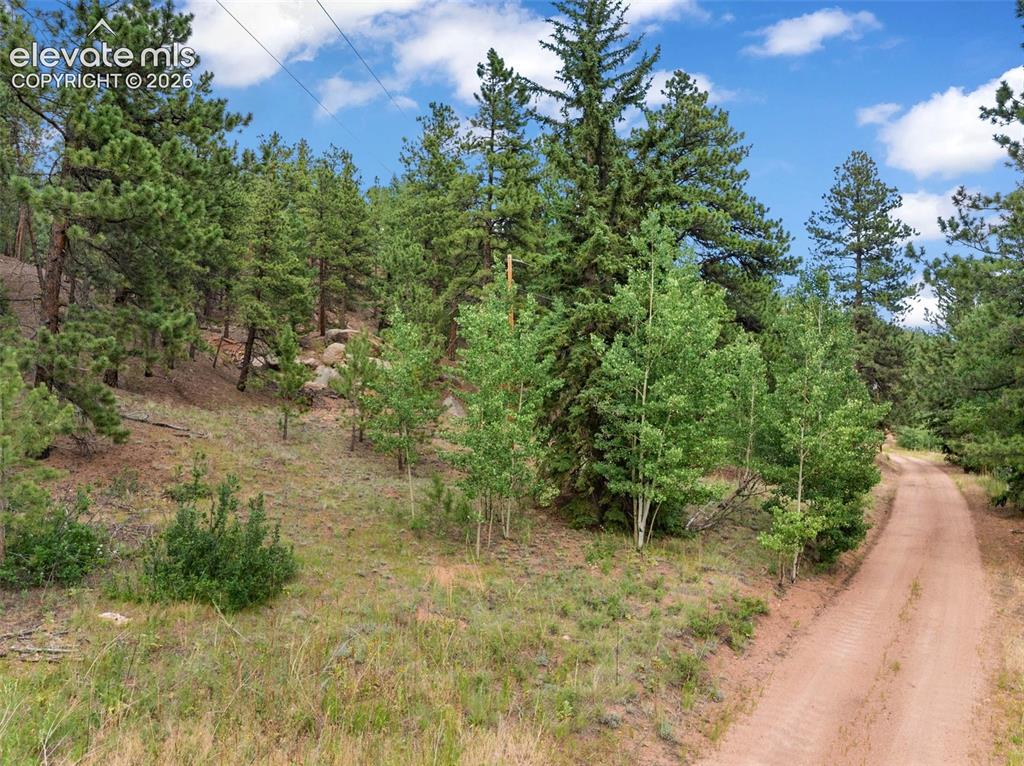 3843 County Road 33 Woodland Park CO 80863
