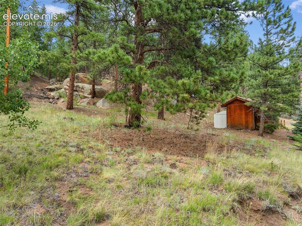 3843 County Road 33 Woodland Park CO 80863
