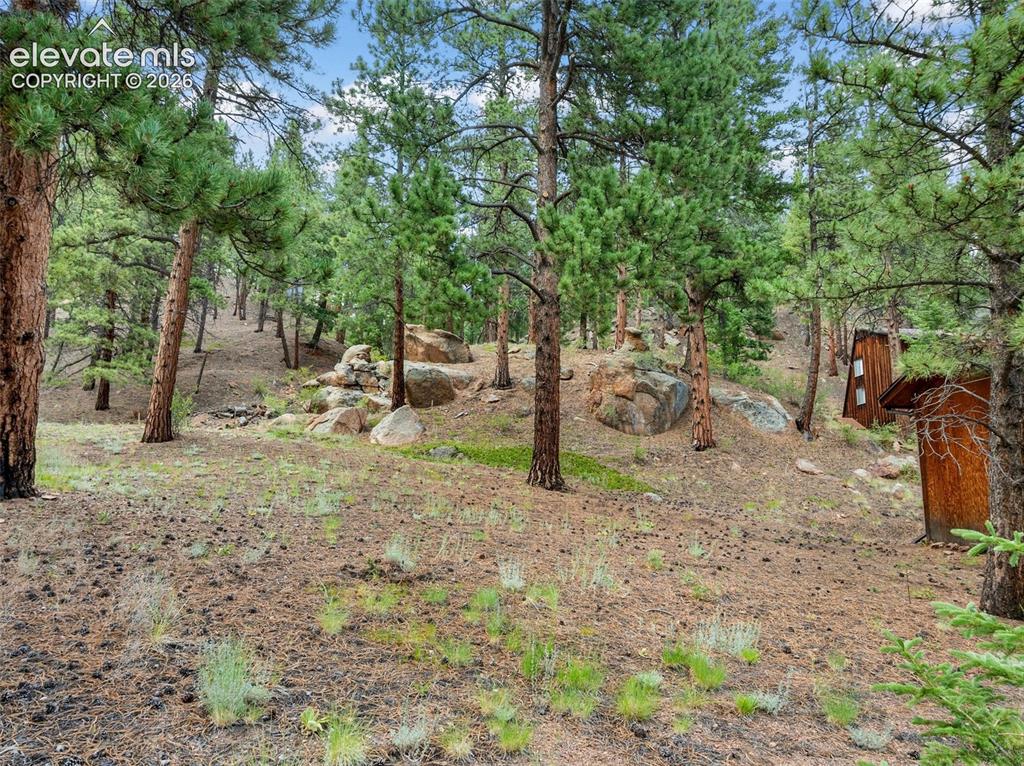 3843 County Road 33 Woodland Park CO 80863