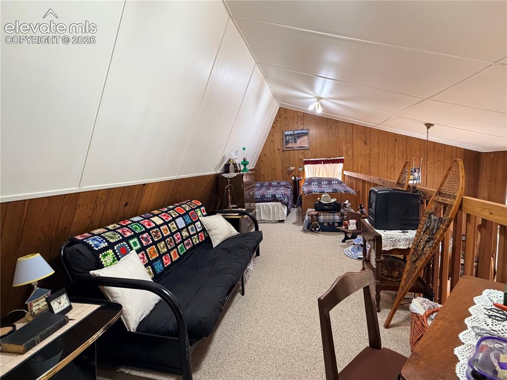 3843 County Road 33 Woodland Park CO 80863