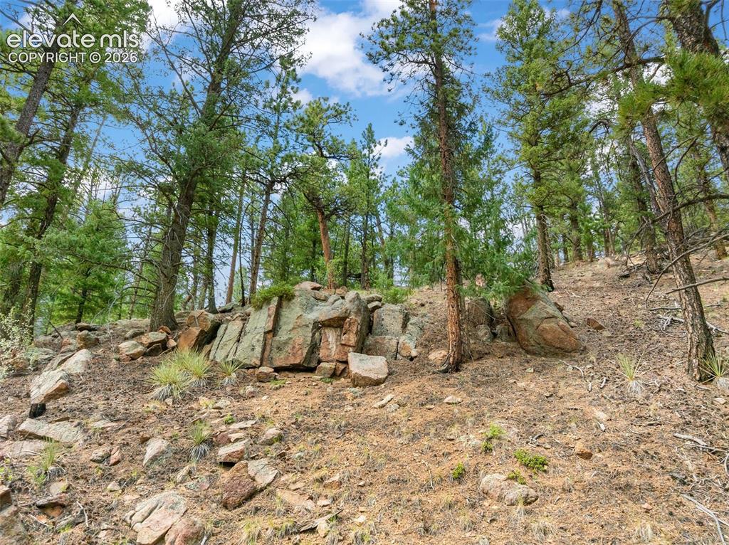 3843 County Road 33 Woodland Park CO 80863