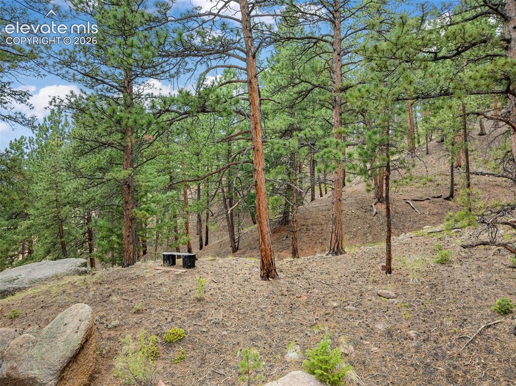 3843 County Road 33 Woodland Park CO 80863
