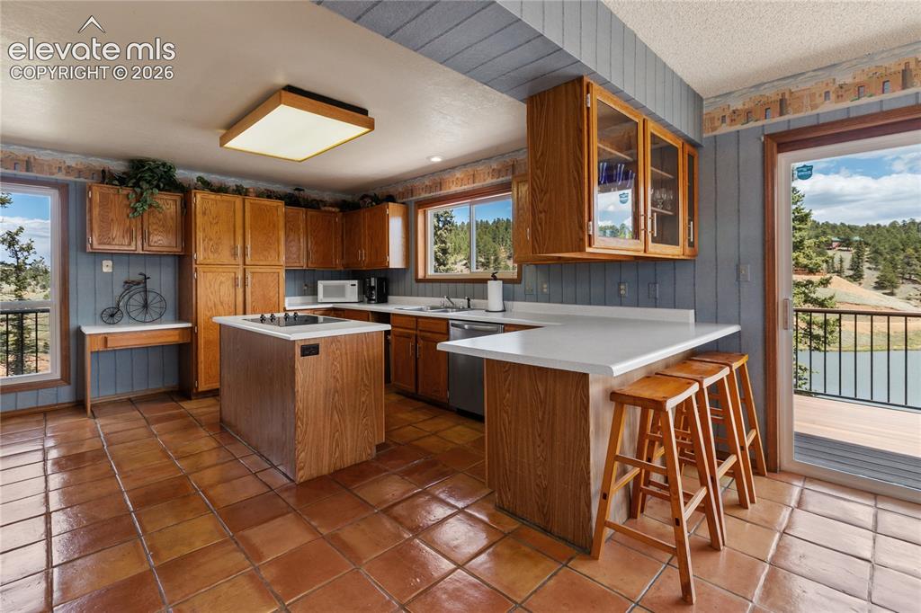 1506 Lake Place Divide CO 80814