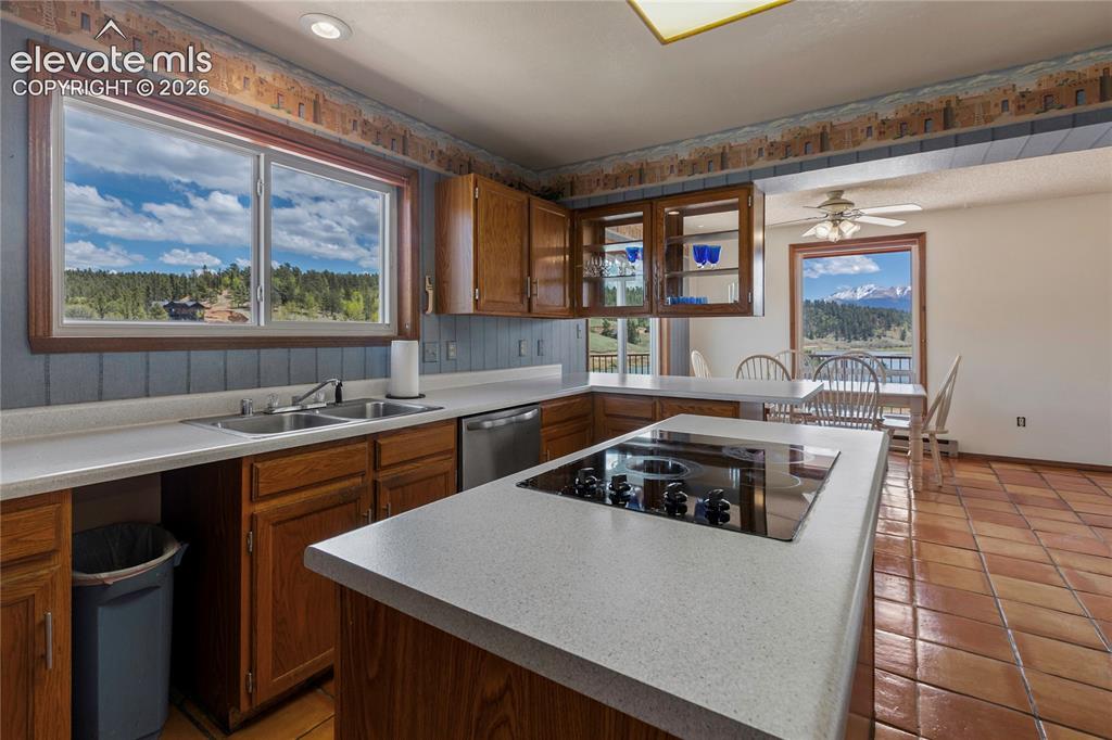 1506 Lake Place Divide CO 80814