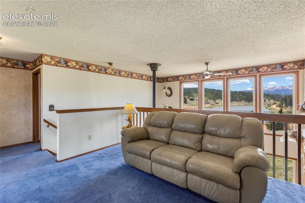 1506 Lake Place Divide CO 80814