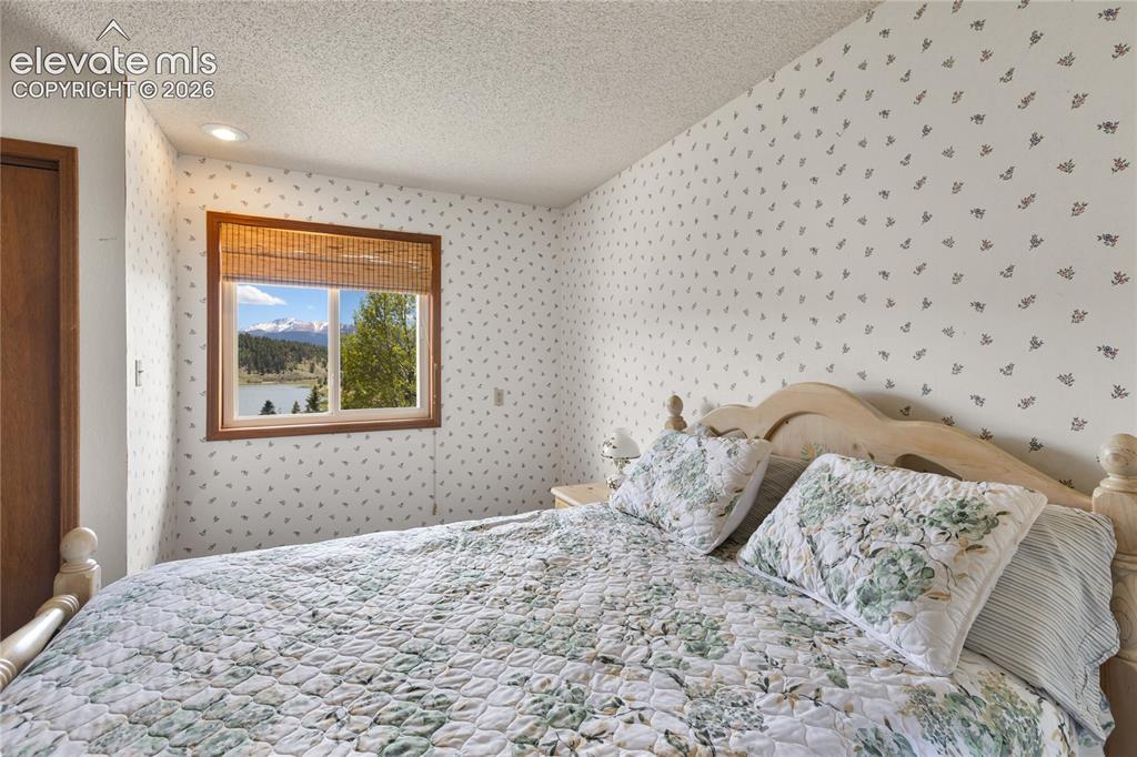 1506 Lake Place Divide CO 80814