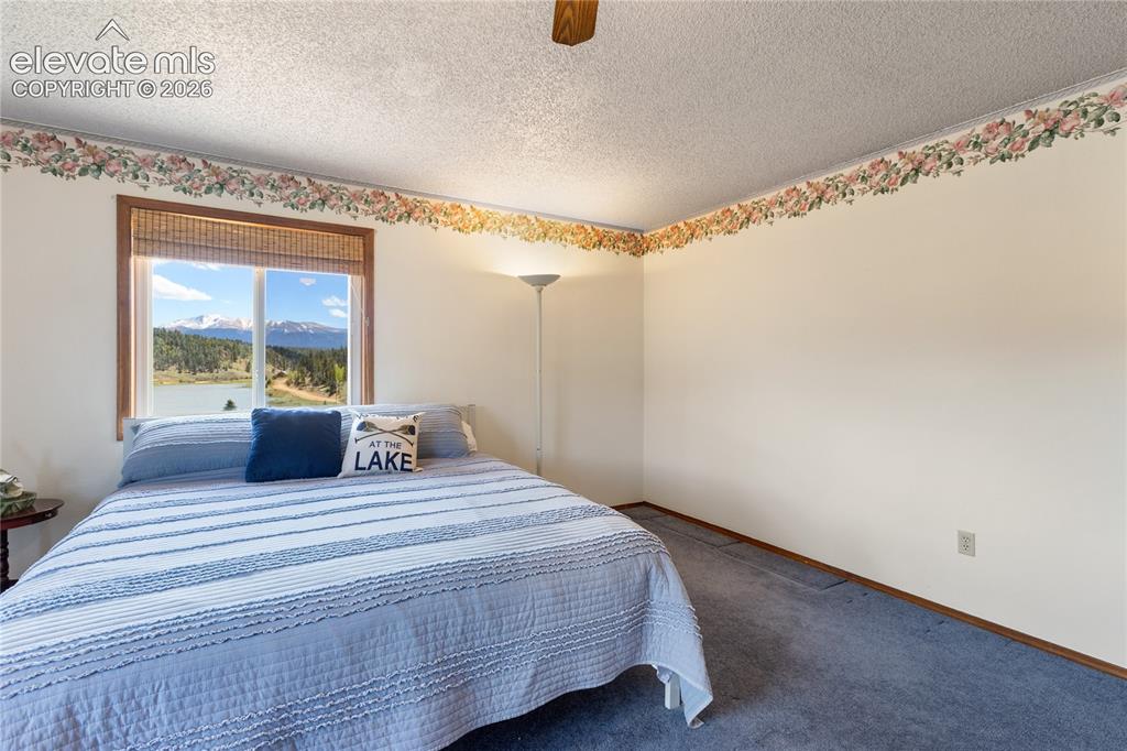 1506 Lake Place Divide CO 80814