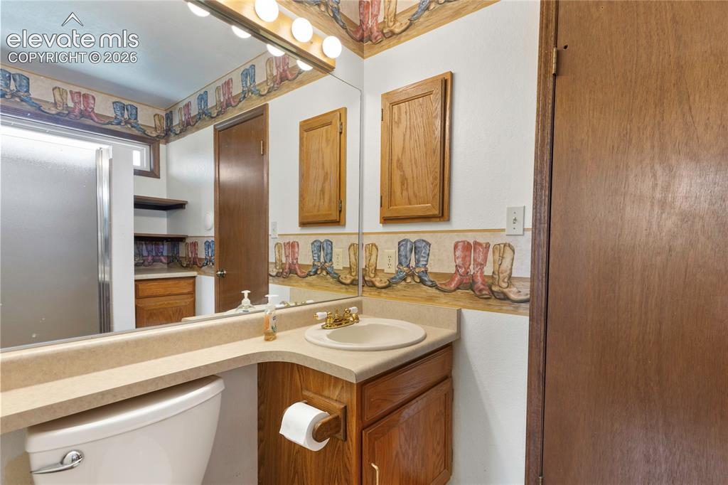 1506 Lake Place Divide CO 80814
