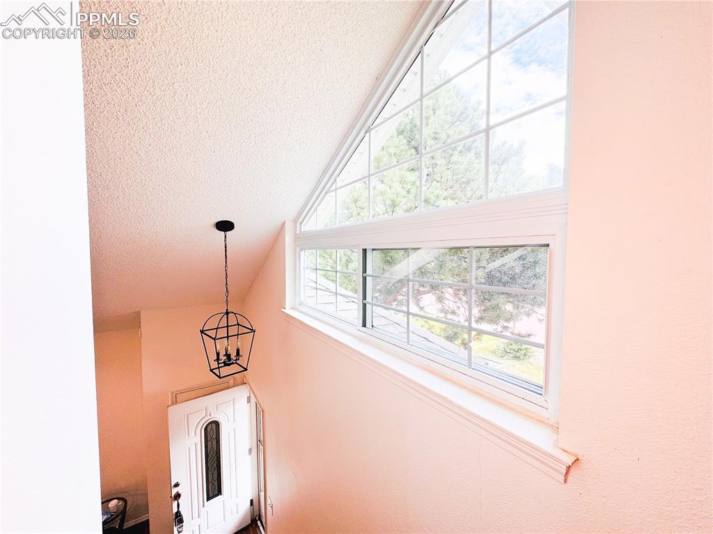 295 Pucket Circle Colorado Springs CO 80911