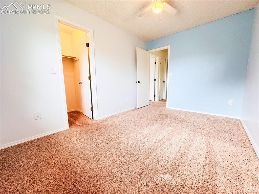 295 Pucket Circle Colorado Springs CO 80911