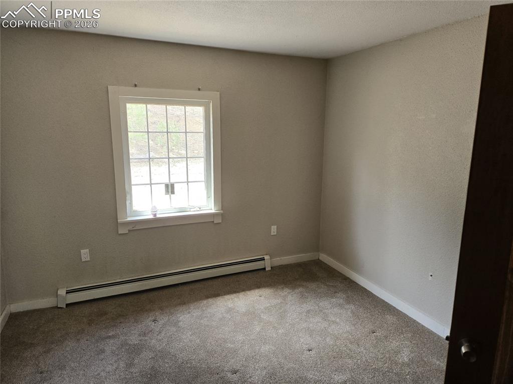 875 Obsidian Drive Florissant CO 80816
