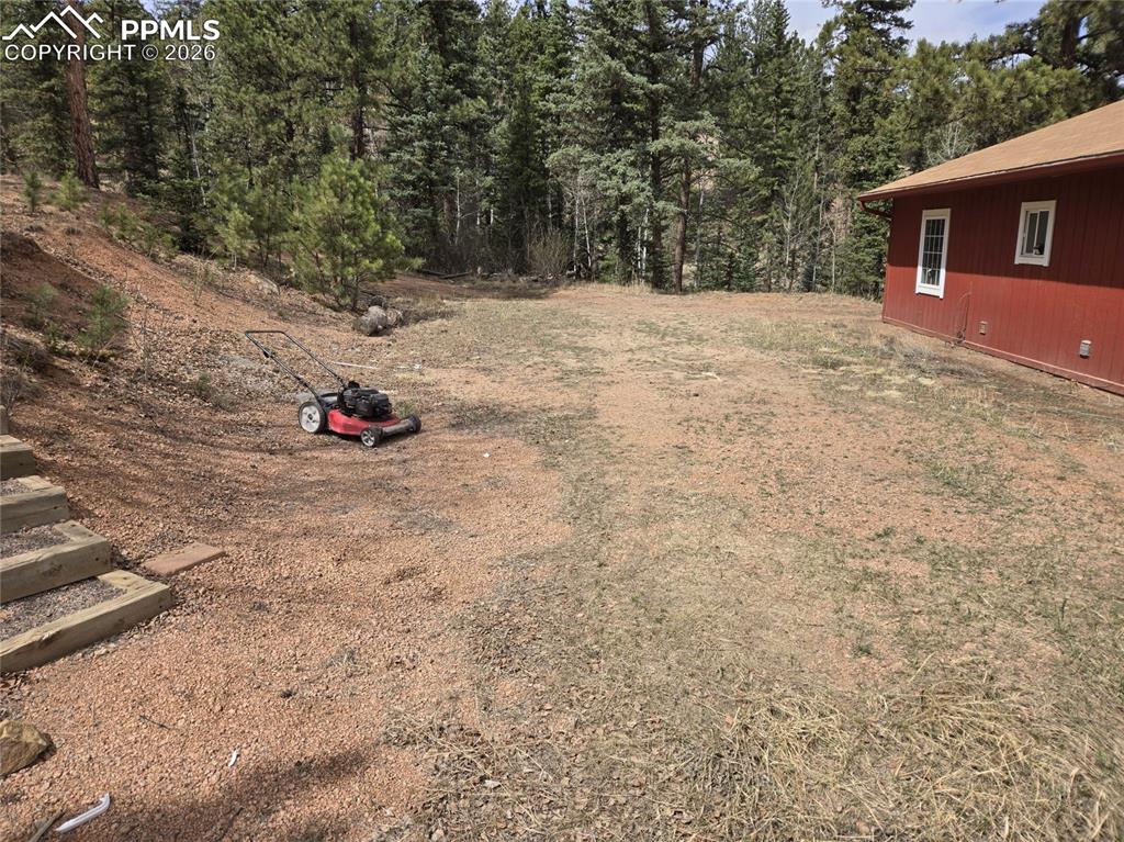 875 Obsidian Drive Florissant CO 80816