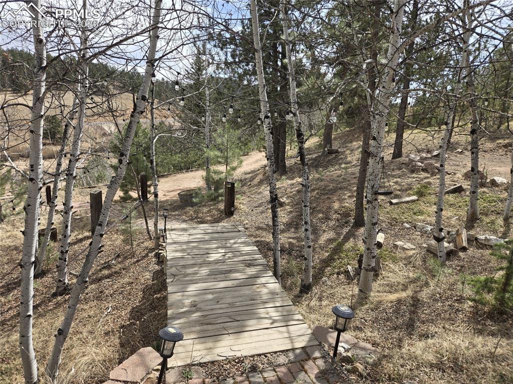 875 Obsidian Drive Florissant CO 80816