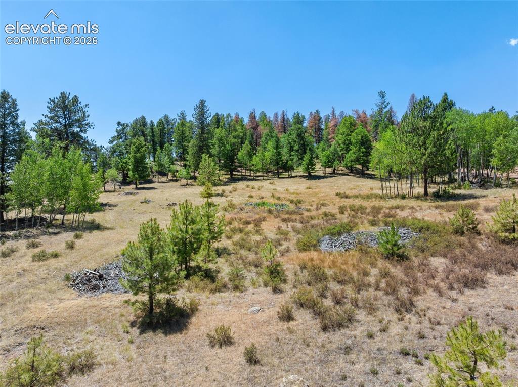 841 Plateau Drive Guffey CO 80820