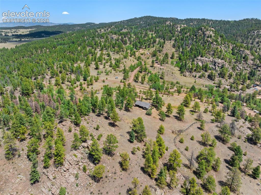 841 Plateau Drive Guffey CO 80820