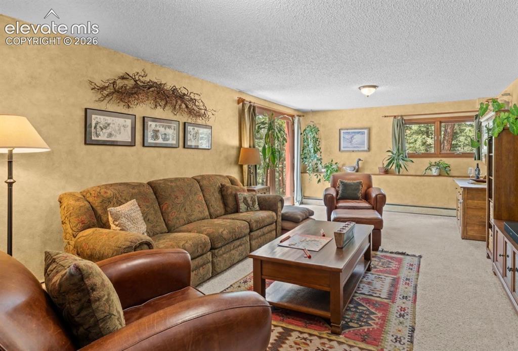 370 High View Circle Woodland Park CO 80863