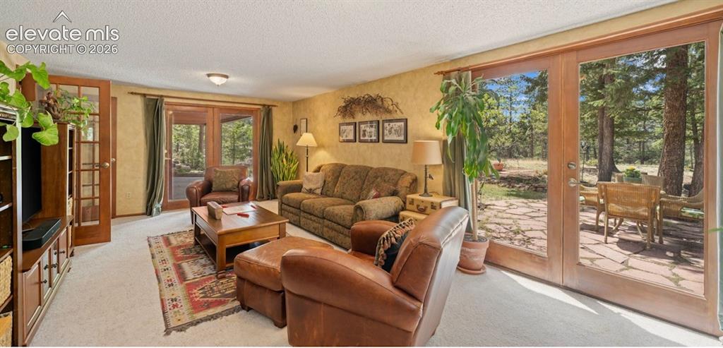 370 High View Circle Woodland Park CO 80863