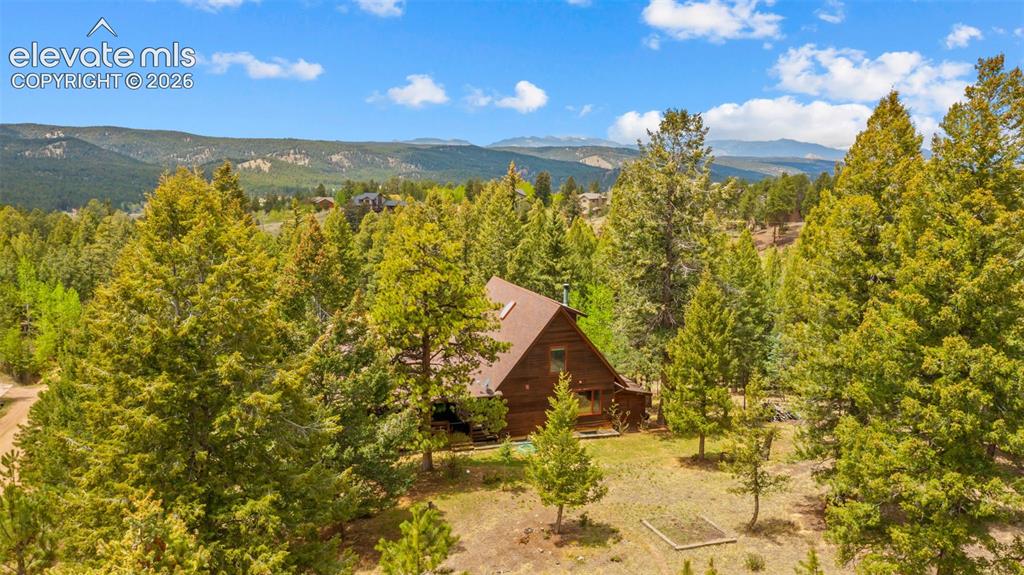 370 High View Circle Woodland Park CO 80863