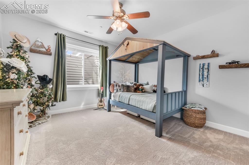 11428 Shaugnessy Road Colorado Springs CO 80908