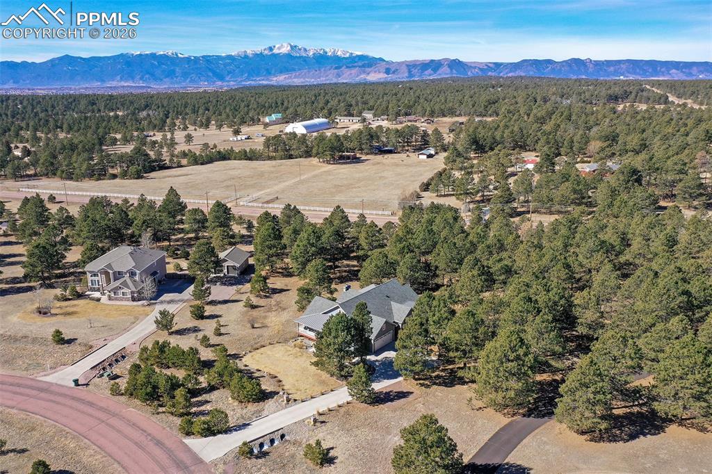 11428 Shaugnessy Road Colorado Springs CO 80908