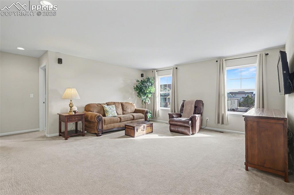 10952 Torreys Peak Way Peyton CO 80831
