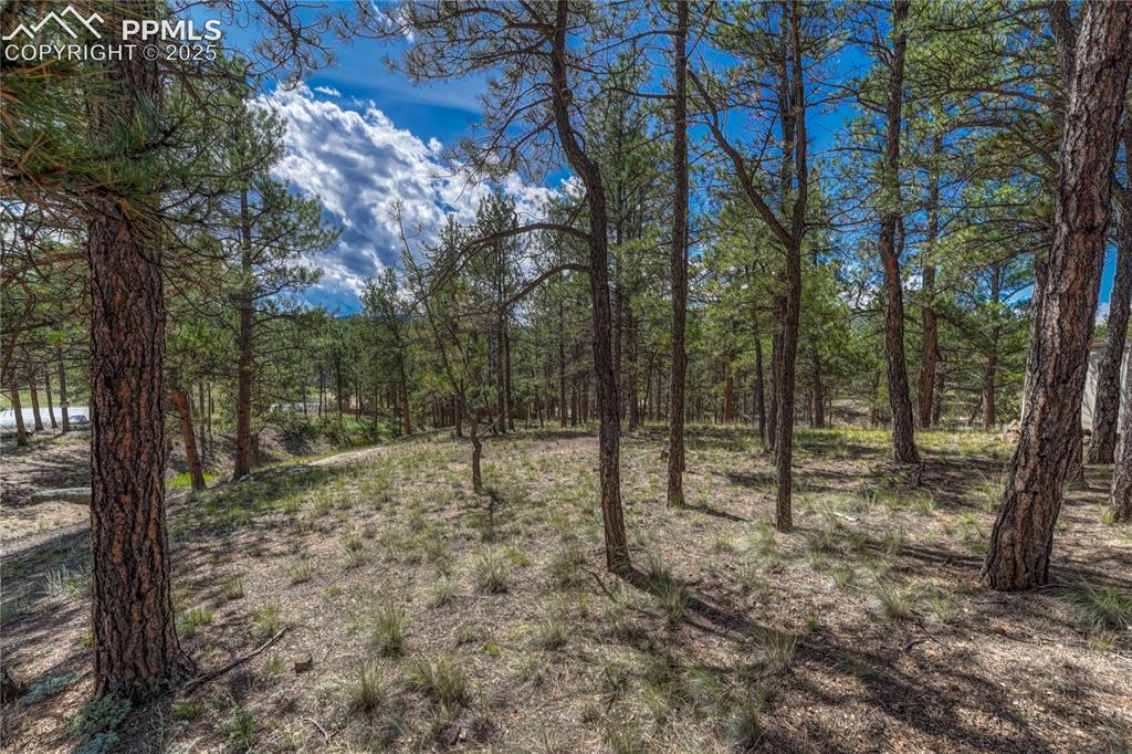 101 Dunlap Drive Florissant CO 80816