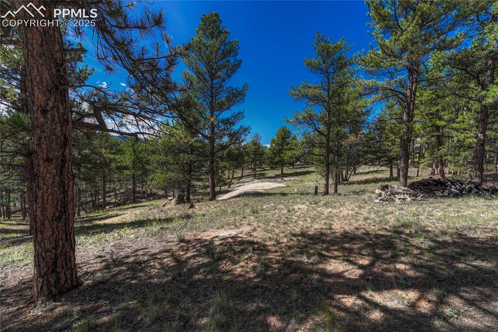 101 Dunlap Drive Florissant CO 80816
