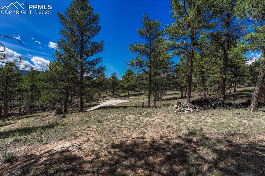 101 Dunlap Drive Florissant CO 80816