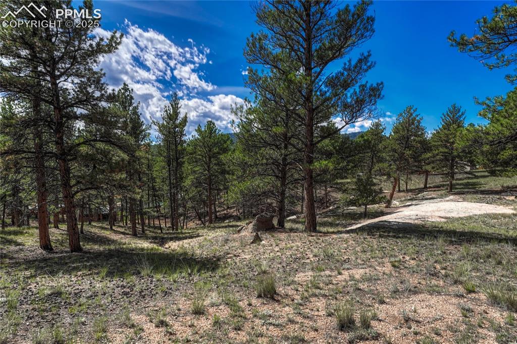 101 Dunlap Drive Florissant CO 80816