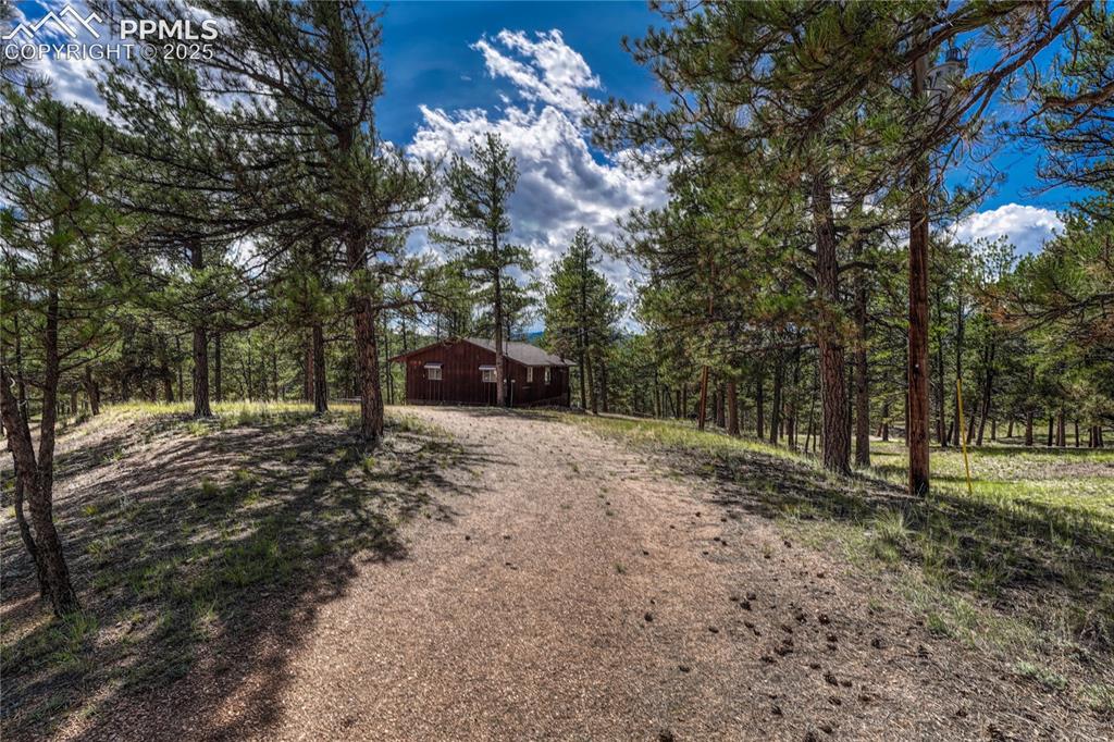 101 Dunlap Drive Florissant CO 80816