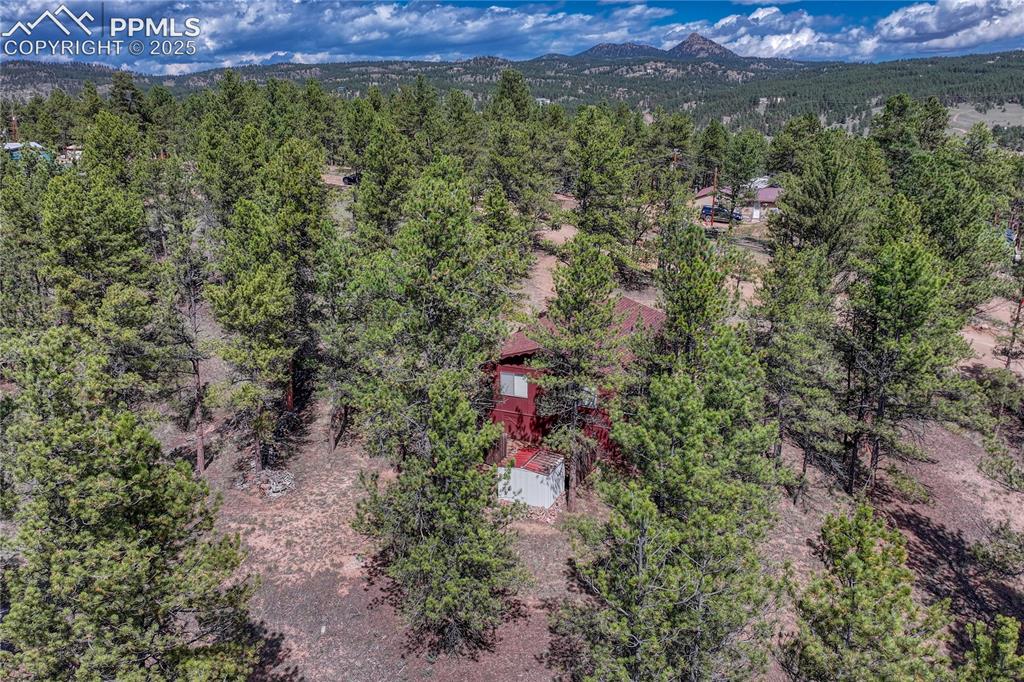 101 Dunlap Drive Florissant CO 80816