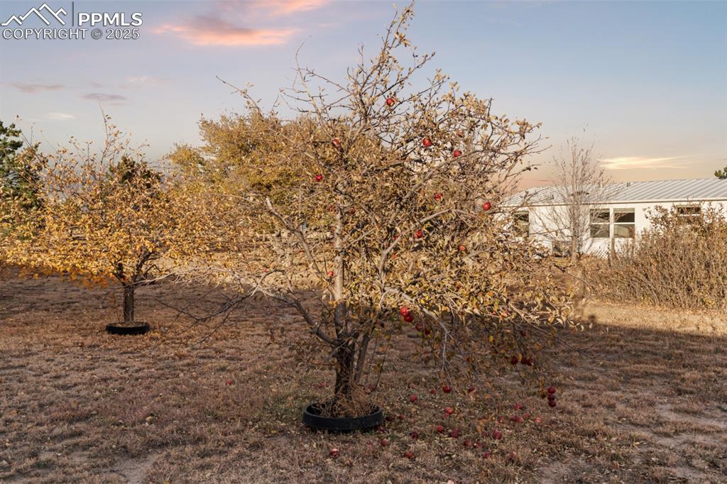 21105 Mcdaniels Road Calhan CO 80808