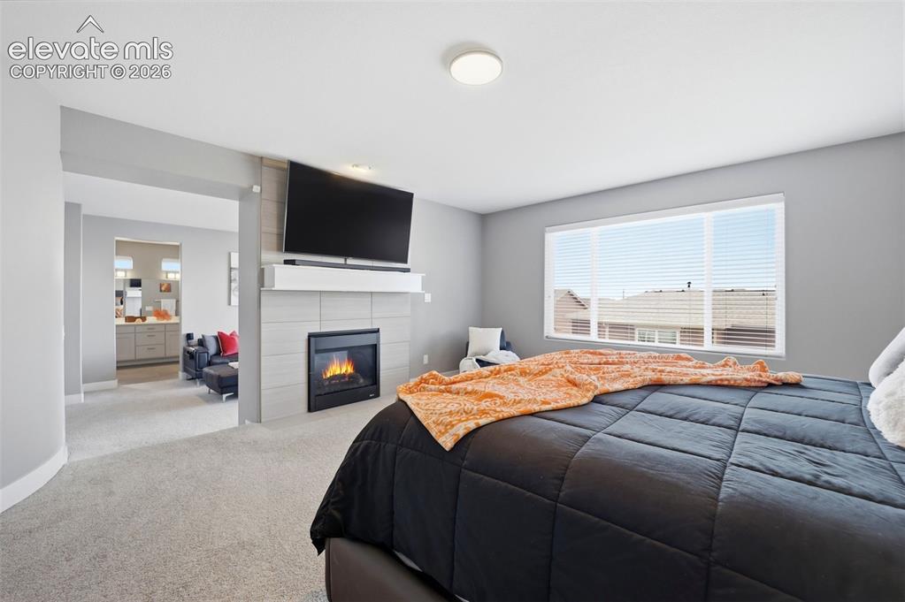 7661 Dry Willow Way Colorado Springs CO 80908